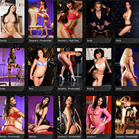 High Class Hookers Berlin VIP & First Ladies Are Waiting Here